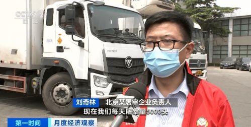 《19》在线观看,揭秘历史风云，探寻时代印记