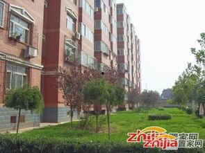 石家庄花园爆料最新消息,揭秘神秘事件背后的真相  第3张